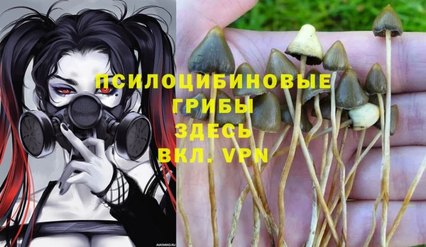 ПСИЛОЦИБИНОВЫЕ ГРИБЫ Армянск