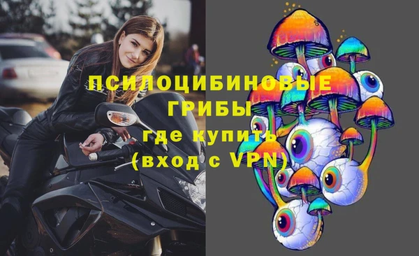 ПСИЛОЦИБИНОВЫЕ ГРИБЫ Армянск