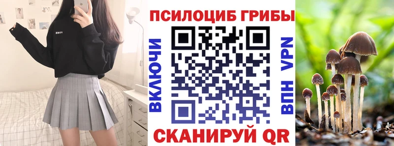 магазин продажи наркотиков  blacksprut ссылки  Галлюциногенные грибы GOLDEN TEACHER  Ливны 